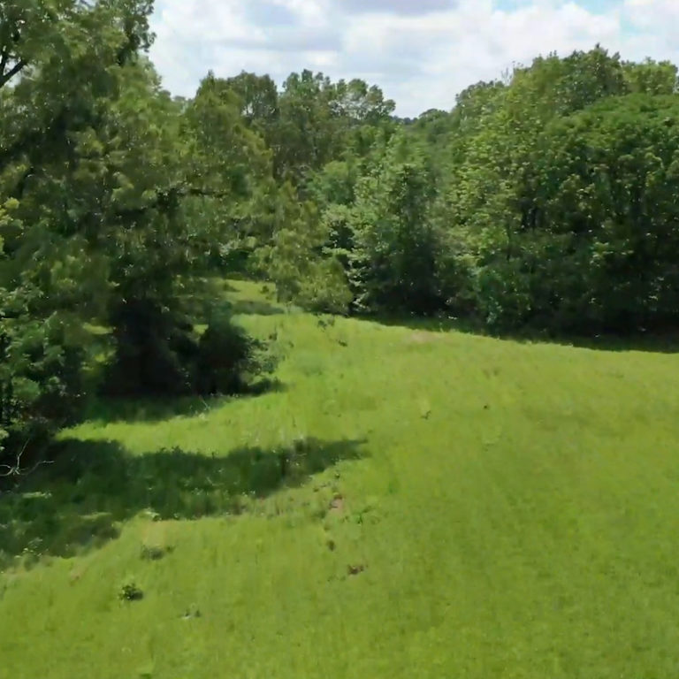 B&G Land Co. Tract #5