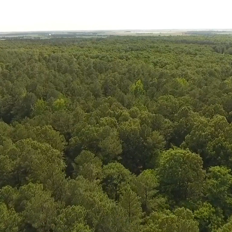 B&G Land Co. Tract #7