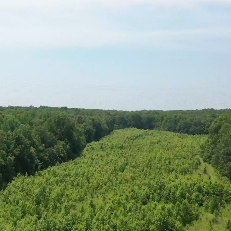 B&G Land Co. Tract #8