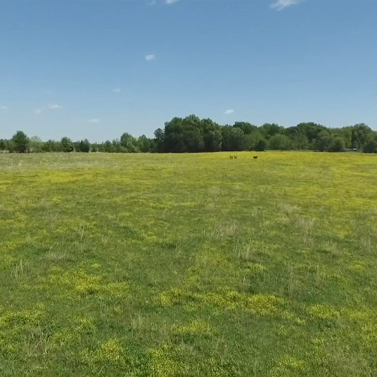 B&G Land Co. Tract #2